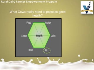 Rural Dairy Farmer Empowerment Program
What Cows really need to possess good
health?
 