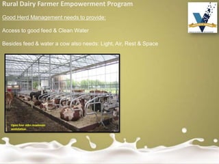 Rural Dairy Farmer Empowerment Program
Good Herd Management needs to provide:
Access to good feed & Clean Water
Besides feed & water a cow also needs: Light, Air, Rest & Space
 
