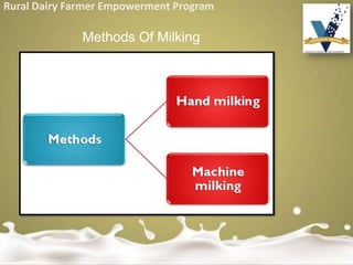 Rural Dairy Farmer Empowerment Program
Methods Of Milking
 