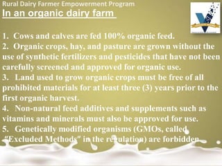 Rural Dairy Farmer Empowerment Program
In an organic dairy farm
1. Cows and calves are fed 100% organic feed.
2. Organic crops, hay, and pasture are grown without the
use of synthetic fertilizers and pesticides that have not been
carefully screened and approved for organic use.
3. Land used to grow organic crops must be free of all
prohibited materials for at least three (3) years prior to the
first organic harvest.
4. Non-natural feed additives and supplements such as
vitamins and minerals must also be approved for use.
5. Genetically modified organisms (GMOs, called
“Excluded Methods” in the regulation) are forbidden
 