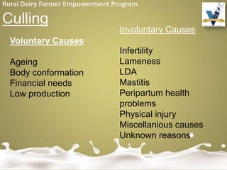 Rural Dairy Farmer Empowerment Program
Culling
Voluntary Causes
Ageing
Body conformation
Financial needs
Low production
Involuntary Causes
Infertility
Lameness
LDA
Mastitis
Peripartum health
problems
Physical injury
Miscellanious causes
Unknown reasons
 