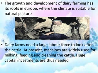 • The growth and development of dairy farming has
its roots in europe, where the climate is suitable for
natural pasture

• Dairy farms need a large labour force to look after
the cattle. At present, machines are widely used for
milking, feeding and cleaning the cattle. Huge
capital investments are thus needed

 