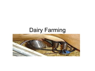 Dairy Farming
Milking System
 