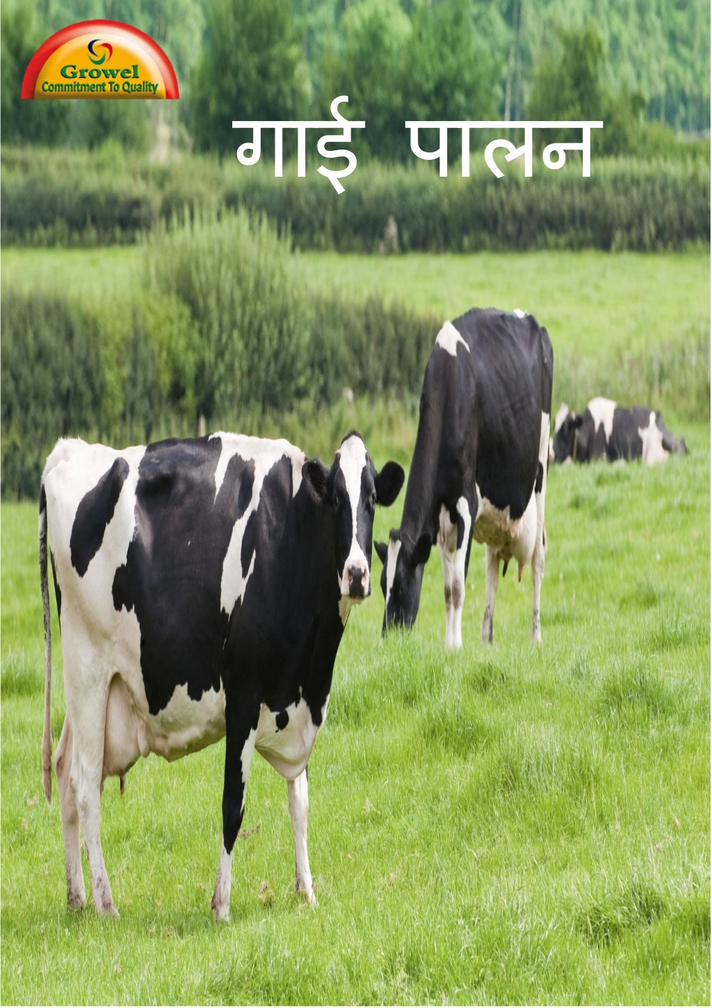 गाई पालन पुस्तिका (Dairy Farming Guide in Nepali)