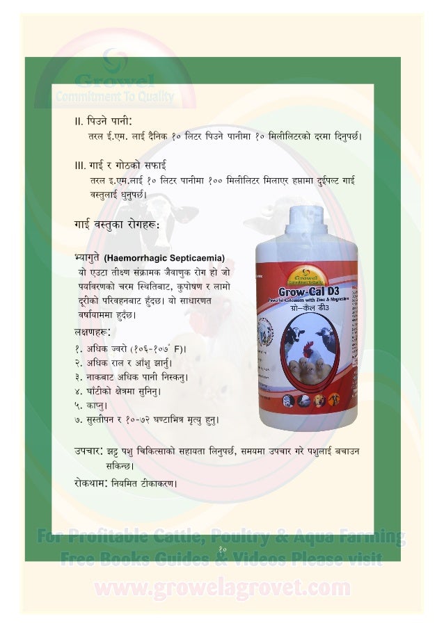 गाई पालन पुस्तिका (Dairy Farming Guide in Nepali)