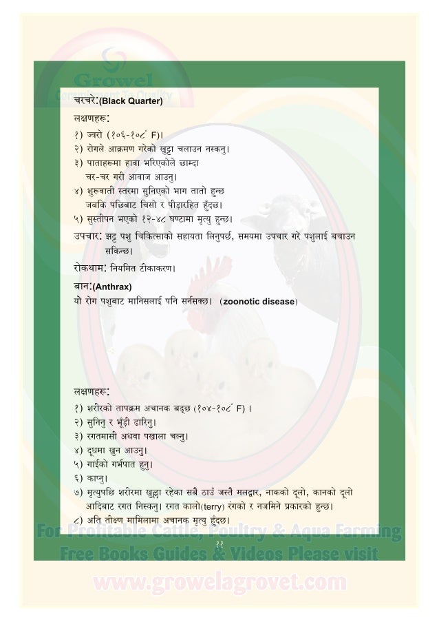 गाई पालन पुस्तिका (Dairy Farming Guide in Nepali)