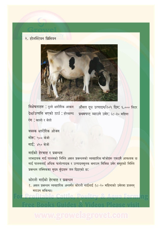 गाई पालन पुस्तिका (Dairy Farming Guide in Nepali)