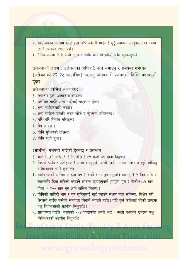 गाई पालन पुस्तिका (Dairy Farming Guide in Nepali)