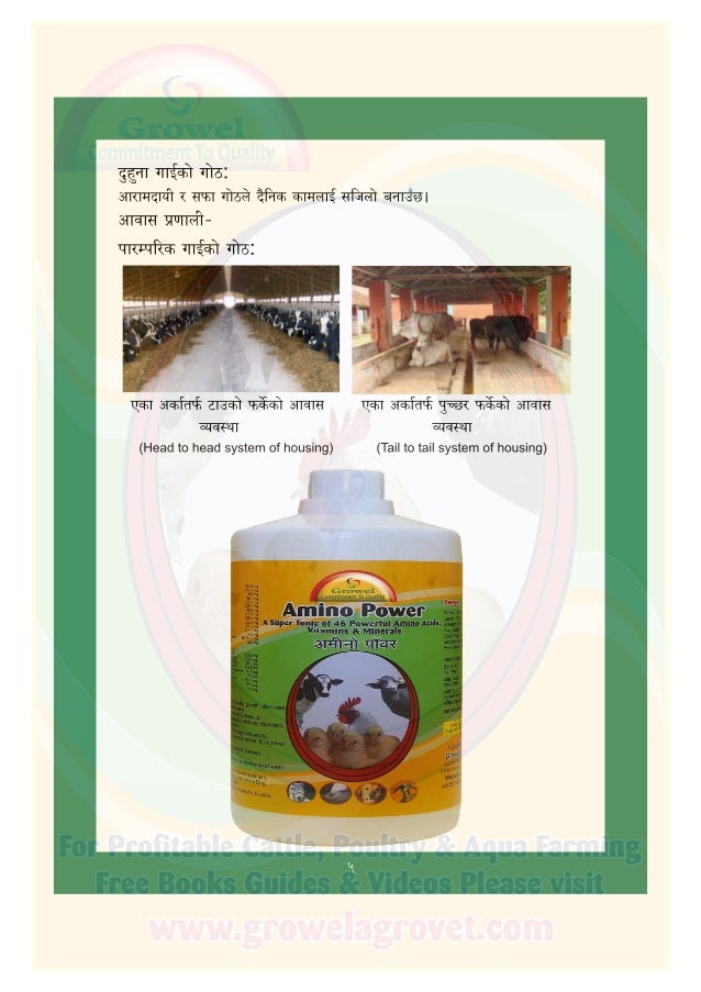 गाई पालन पुस्तिका (Dairy Farming Guide in Nepali)