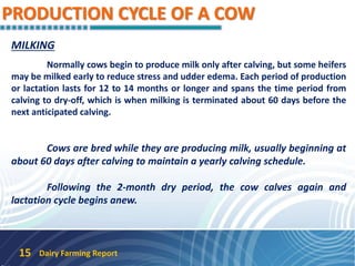 PRODUCTION CYCLE OF A COW
Dairy Farming Report15
MILKING
Normally cows begin to produce milk only after calving, but some heifers
may be milked early to reduce stress and udder edema. Each period of production
or lactation lasts for 12 to 14 months or longer and spans the time period from
calving to dry-off, which is when milking is terminated about 60 days before the
next anticipated calving.
Cows are bred while they are producing milk, usually beginning at
about 60 days after calving to maintain a yearly calving schedule.
Following the 2-month dry period, the cow calves again and
lactation cycle begins anew.
 