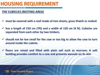 HOUSING REQUIREMENT
Dairy Farming Report18
THE CUBICLES (RESTING AREA)
 must be covered with a roof made of iron sheets, grass thatch or makuti
 has a length of 210 cm (7ft) and a width of 120 cm (4 ft). Cubicles are
separated from each other by two timbers.
 should not be too small for the cow or too big to allow the cow to turn
around inside the cubicle.
 floors are raised and filled with plain soil such as murrum; A soft
bedding provides comfort to a cow and prevents wounds on its skin
 
