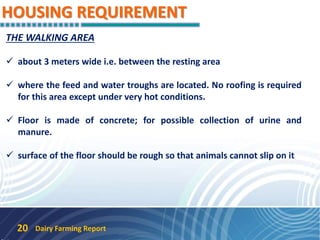 HOUSING REQUIREMENT
Dairy Farming Report20
THE WALKING AREA
 about 3 meters wide i.e. between the resting area
 where the feed and water troughs are located. No roofing is required
for this area except under very hot conditions.
 Floor is made of concrete; for possible collection of urine and
manure.
 surface of the floor should be rough so that animals cannot slip on it
 