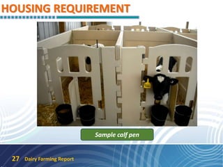 HOUSING REQUIREMENT
Dairy Farming Report27
Sample calf pen
 