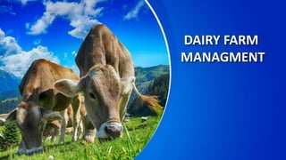 Dairy farm management | PPT