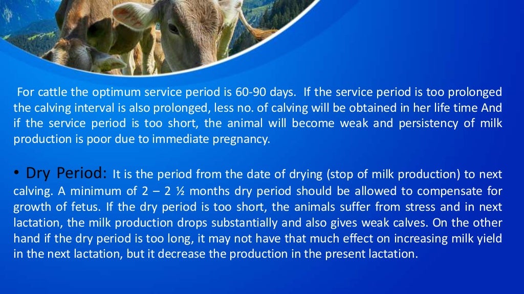 Dairy farm management