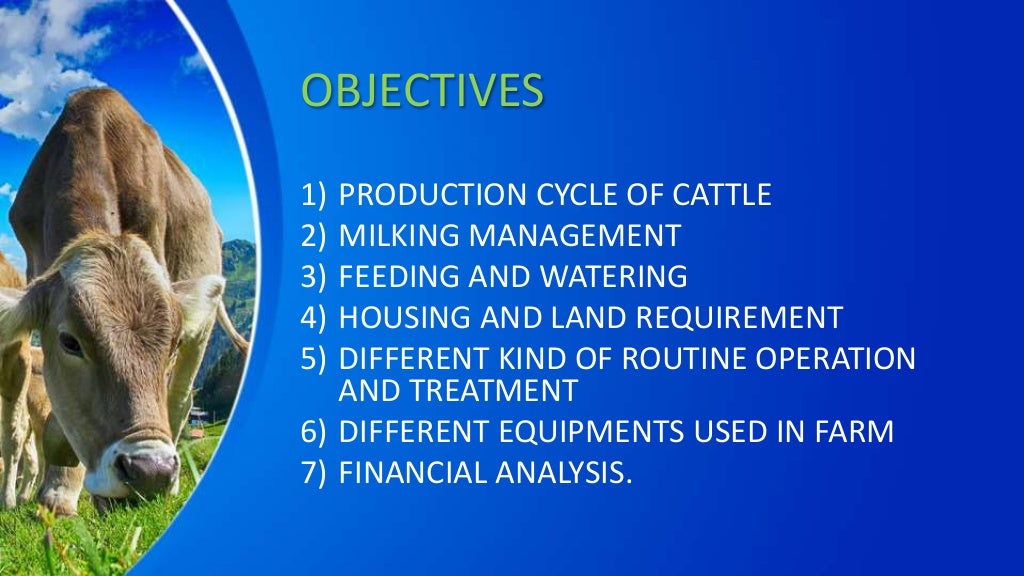 Dairy farm management