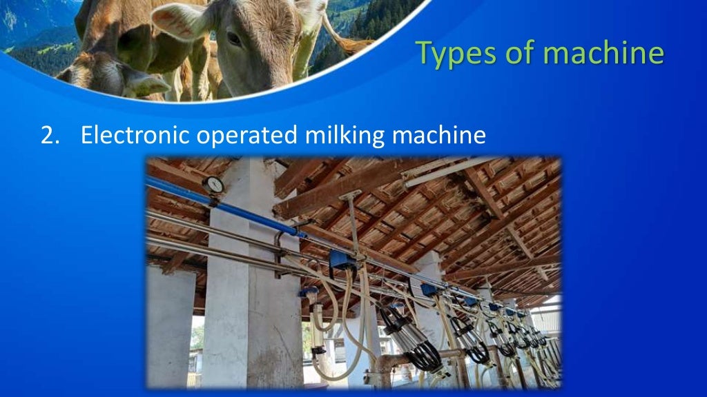 Dairy farm management