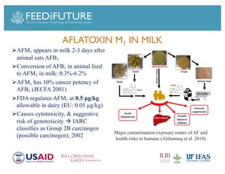 Foodborne diseases from dairy products in developing countries: Hazards and health implications