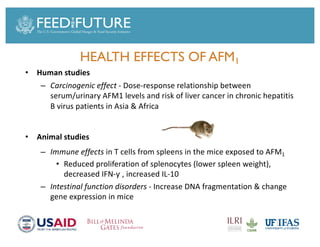 Foodborne diseases from dairy products in developing countries: Hazards and health implications