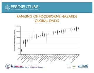 Foodborne diseases from dairy products in developing countries: Hazards and health implications