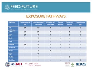 Foodborne diseases from dairy products in developing countries: Hazards and health implications