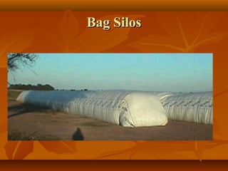 Bag Silos

 