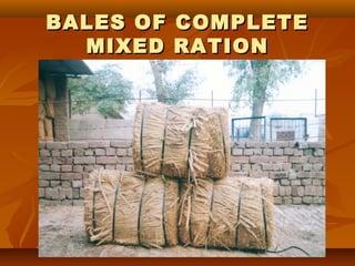 BALES OF
MIXED

COMPLETE
RATION

 
