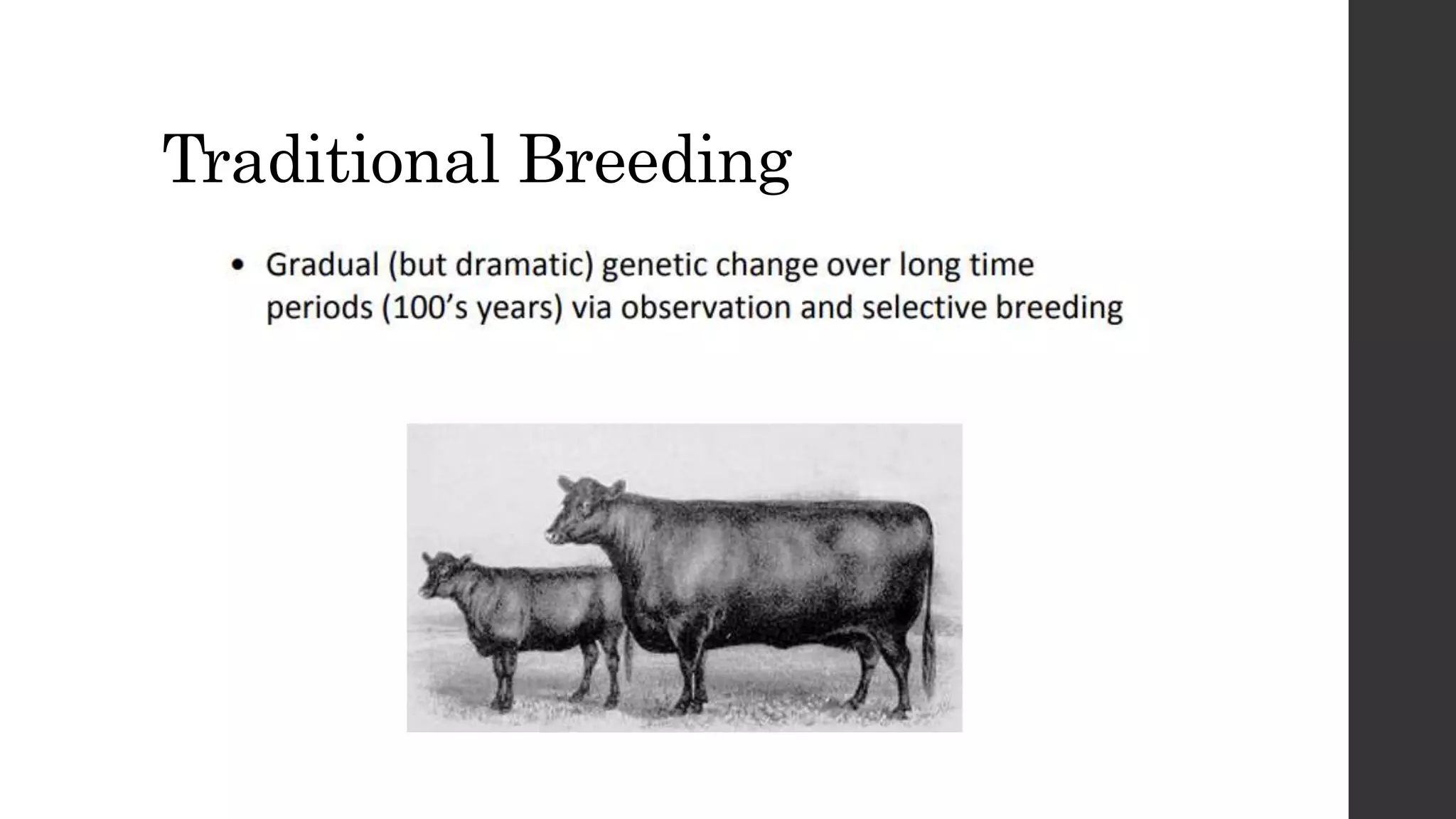 DAIRY GENETICS and BREEDING - 1.3.pptx