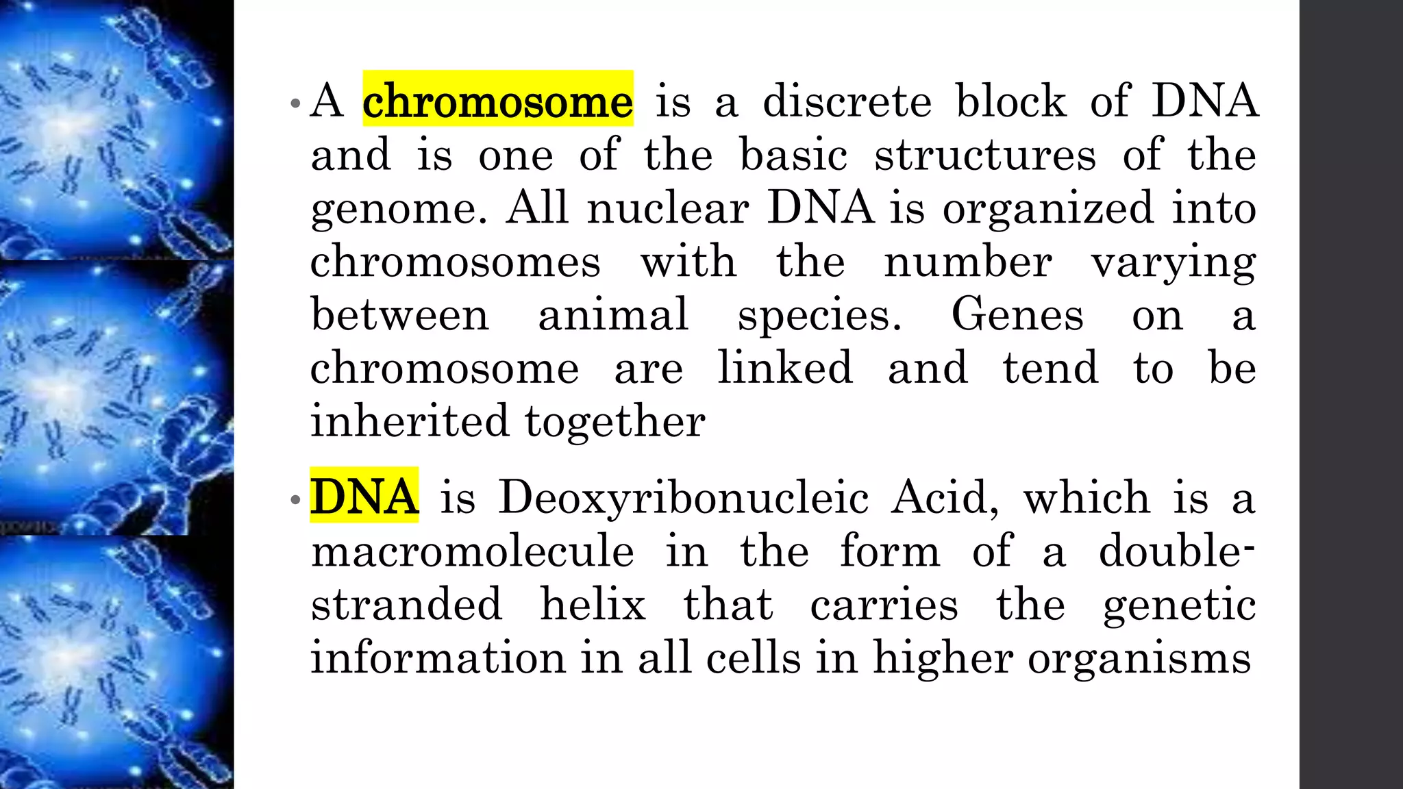 DAIRY GENETICS and BREEDING - 1.3.pptx