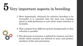 DAIRY GENETICS and BREEDING - 1.3.pptx | Biological Sciences | Science