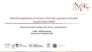 Better lives through livestock
Potential application of lessons from dairy genetics into beef
Lessons from ADGG
Okeyo A.M., Mrode R., Ojango J.M.K., Ekine C., Gebreyohanes G.
CTLGH – ACIAR Convening
Nairobi, Kenya, 30 September 2022
 