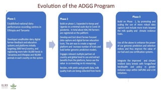 Potential application of lessons from dairy genetics into beef: Lessons from ADGG