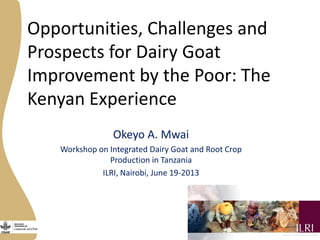 Opportunities, Challenges and
Prospects for Dairy Goat
Improvement by the Poor: The
Kenyan Experience
Okeyo A. Mwai
Workshop on Integrated Dairy Goat and Root Crop
Production in Tanzania
ILRI, Nairobi, June 19-2013
 