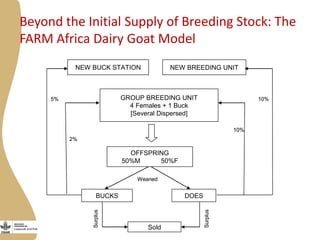 Opportunities, challenges and prospects for dairy goat improvement by the poor: The Kenyan experience