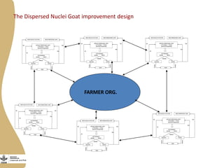 Opportunities, challenges and prospects for dairy goat improvement by the poor: The Kenyan experience