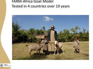 Opportunities, challenges and prospects for dairy goat improvement by the poor: The Kenyan experience