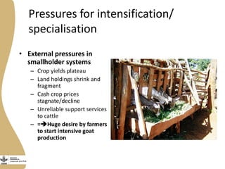 Opportunities, challenges and prospects for dairy goat improvement by the poor: The Kenyan experience