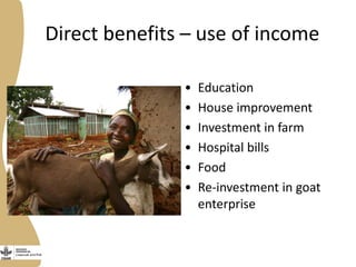 Opportunities, challenges and prospects for dairy goat improvement by the poor: The Kenyan experience