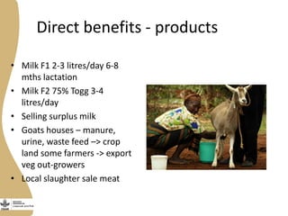 Opportunities, challenges and prospects for dairy goat improvement by the poor: The Kenyan experience
