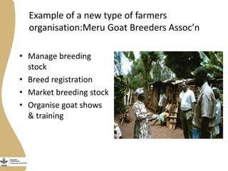 Opportunities, challenges and prospects for dairy goat improvement by the poor: The Kenyan experience