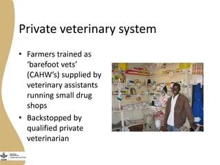 Opportunities, challenges and prospects for dairy goat improvement by the poor: The Kenyan experience