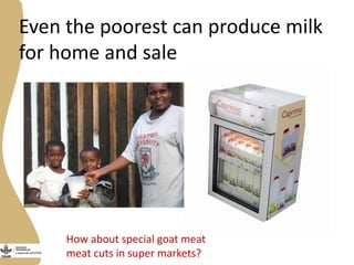 Opportunities, challenges and prospects for dairy goat improvement by the poor: The Kenyan experience