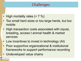 Opportunities, challenges and prospects for dairy goat improvement by the poor: The Kenyan experience