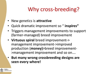 Opportunities, challenges and prospects for dairy goat improvement by the poor: The Kenyan experience