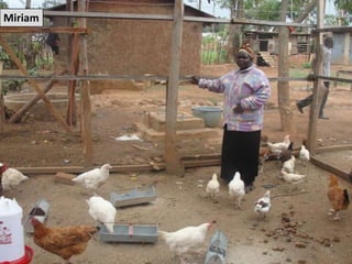 Evaluating the impacts of livestock microcredit and value chain programs on women’s empowerment using the women’s empowerment in agriculture index (WEAI)