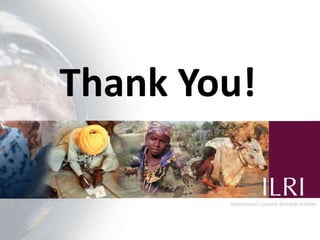 Evaluating the impacts of livestock microcredit and value chain programs on women’s empowerment using the women’s empowerment in agriculture index (WEAI)