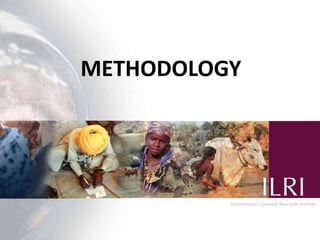 Evaluating the impacts of livestock microcredit and value chain programs on women’s empowerment using the women’s empowerment in agriculture index (WEAI)