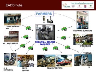 EADD hubs

                            FARMERS


  OTHER RELATED
  MEs
                                                     HARDWARE SUPPLIERS




                           CHILLING or BULKING
VILLAGE BANKS                   FACILITIES
                                                           FIELD DAYS


                                                              TESTING




                                                                   12
AI &              FEED                TRANSPORTERS
EXTENSION         SUPPLY
 