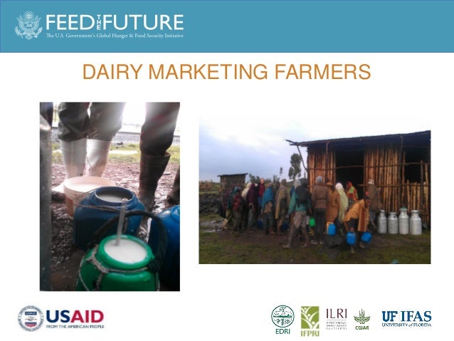 The Transforming Dairy Sector In Ethiopia – GRWZC