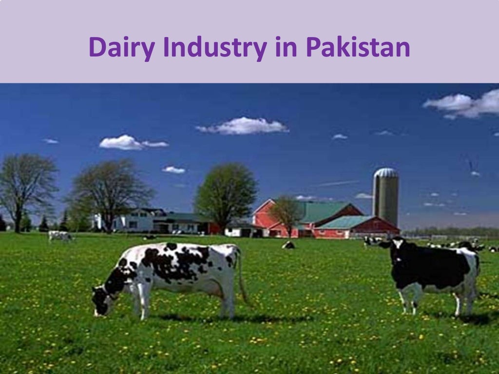 Dairy industry of Pakistan